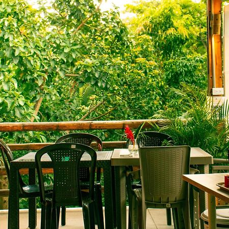 Tayrona Juancho'S House Hostel & Coworking Los Naranjos Eksteriør bilde