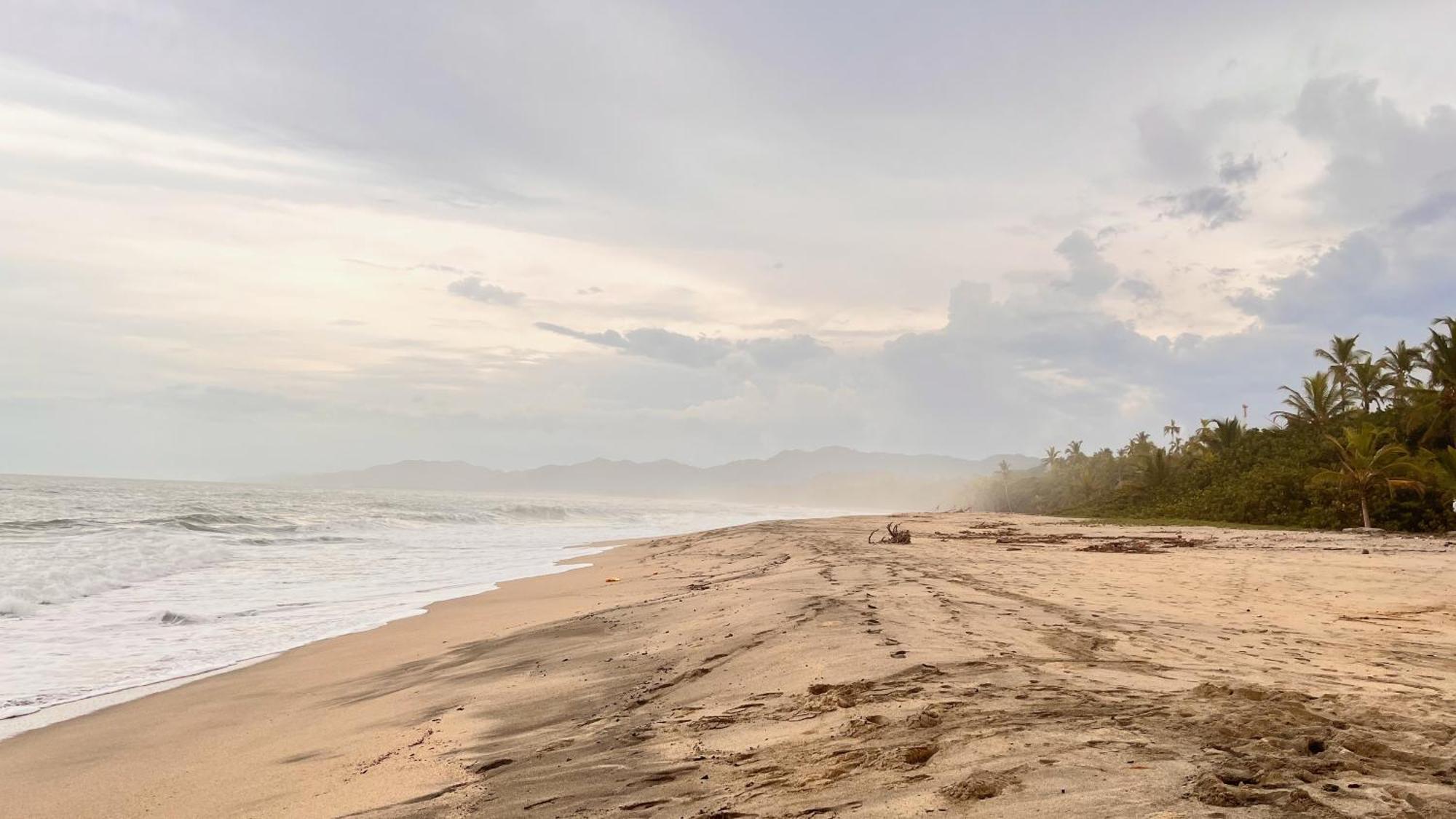 Tayrona Juancho'S House Hostel & Coworking Los Naranjos Eksteriør bilde